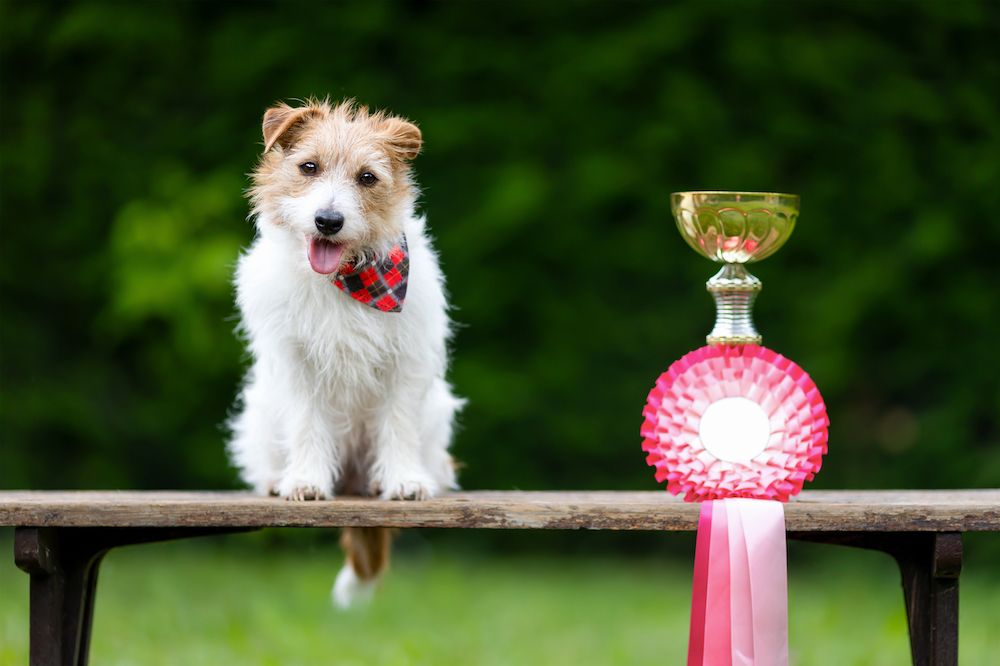 Editorial: April 11, 2025